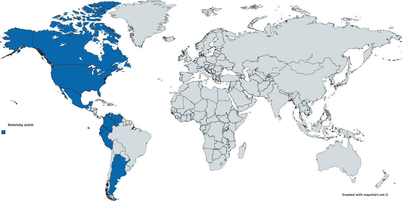 mapa-Americky-orech